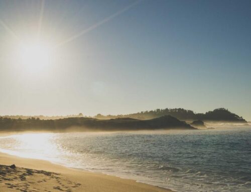 What Is a Bunion and When Should You Consider Treatment?