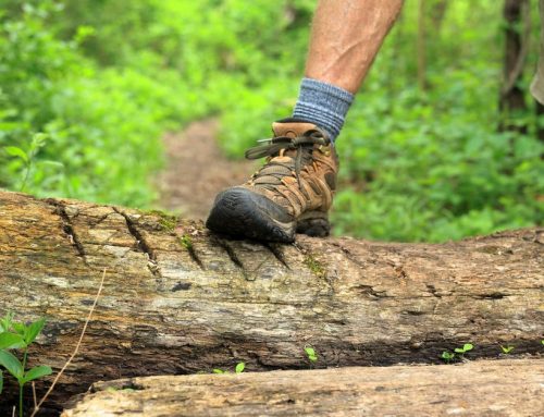 Lateral Ankle Ligament Reconstruction in Boise: What to Expect
